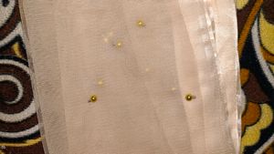 "Pinterest Peach Net Dupatta with Pearl Beads"