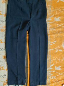 Men's Blue Trousers