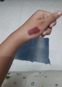 Swiss Beauty Matte Lipstick- murphy brown