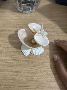 real Seashell Jewelry Organizer tray