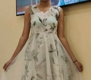 Floral Print Mesh Dress