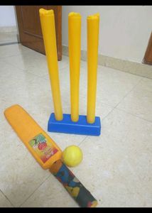 Kids Cricket Set
