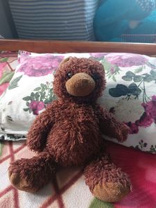 Imported Brown Teddy Bear.