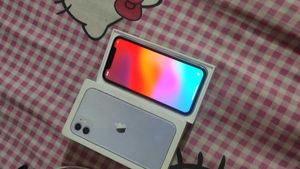 Apple Iphone11 (icloud Locked)