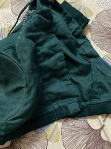Elegant Green Embellished Saree