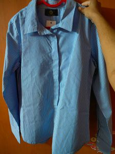 Classic Blue Striped Button-Up Shirt