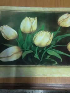 Dining Table Mat 6 Piece