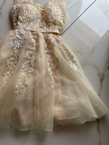 vintage Lace tulle dress