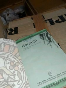 Hornbill Textbook for Class 11 English