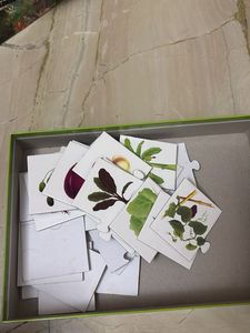 Fruits &amp; Vegetables Puzzles for Kids
