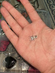 Silver Spider Charm Pendant