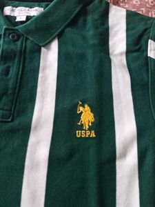 US Polo Association Green Striped Shirt - Size