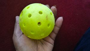 Pickleball Ball