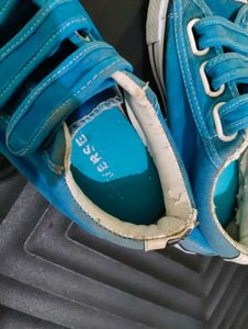 Blue Converse All Star Sneakers