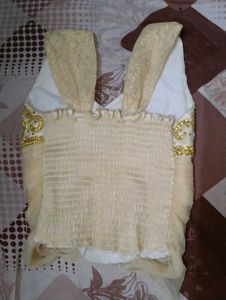 Elegant Cream Choli