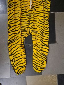Tiger Costume