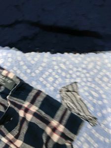 Cozy  Pants &amp; winter top set