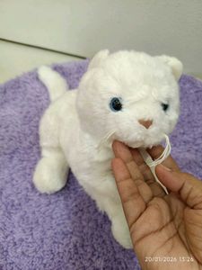 Cute White Plush Cat Toy