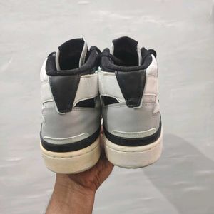 Adidas High-Top Sneakers