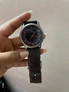 Titan Analog Watch