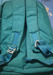 Wildcraft Teal Backpack with Compass Design