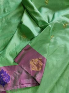 Light Green Saree with Pink Border