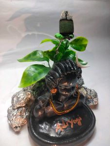 adiyogi