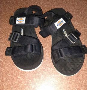 Dickies Sandal Men