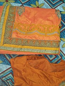 Orange Saree with Embellishments