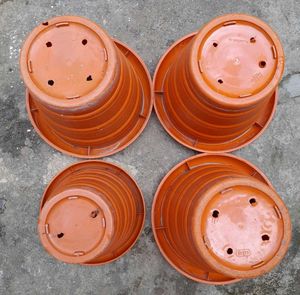 Big Plant Pots