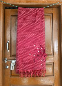 Elegant Red Dupatta with Embellishments