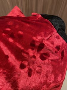 Designer One Piece Velvet Dress