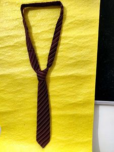 Zodina Striped Burgundy Tie,New Generation Tie👍
