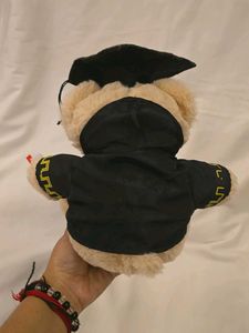 Graduation Teddy Bear Toy