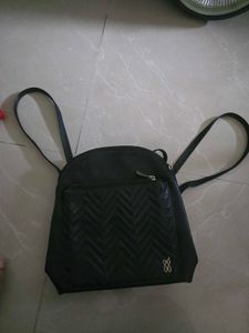 Baggit Bag