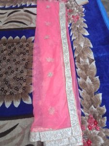 Elegant Lehenga Choli Set