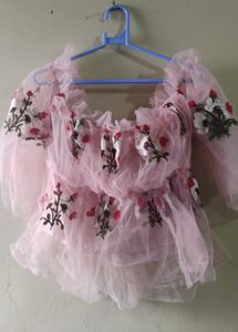 Sheer Pink Embroidered Ruffle Top