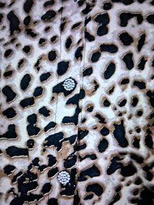 Leopard Print Dress