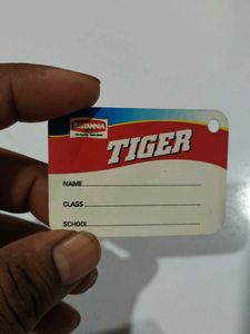 Vintage Tiger Keychain Charm