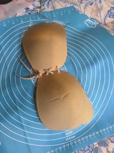 Adhesive Silicone Bra