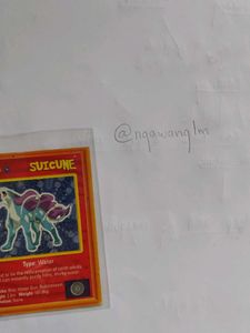 Rare Alpenlibe chase card suicuine