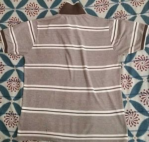 Striped Polo Shirt PURE COTTON