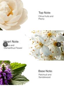 Fernweh Eau de Parfum for Women