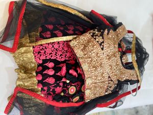 Exquisite Embroidered Lehenga