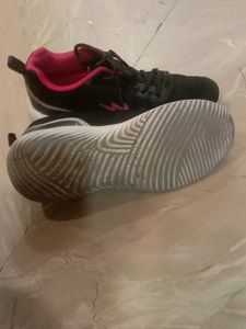 Women Campus Shoes