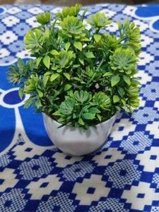 Artificial Green Plant in White Pot