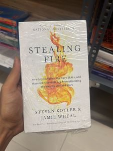 Stealing Fire National Bestseller Book