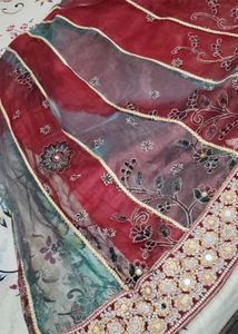 Beautifully Embellished Ethnic Skirt/lehanga