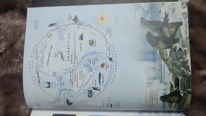 Primary Atlas Book Very Good Condition
