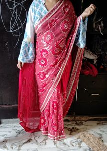 Heavy Multi Sequence Work Saree